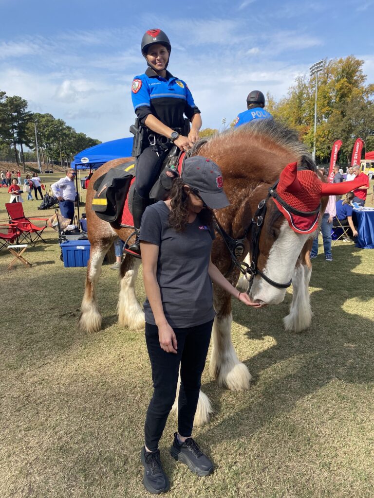 A patrol horse with a hat at red and white week.